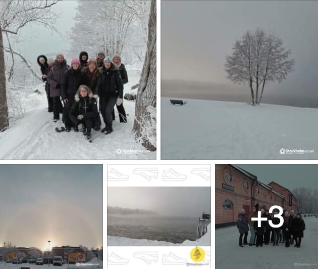 Stockholm Accueil: Marche hivernale!